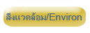 ไส้กรอกเยอรมันรมควันต้นตำรับรสชาติเข้มข้น ไส้กรอกแฮมรมควัน ขาหมูเยอรมันรมควัน ไส้กรอกซูเปอร์ชีส ไส้กรอกเอ็กซ์ตร้าสไปซี่ส์ ไส้กรอกชูบิกพริกสด ขาหมูเยอรมันรมควันพิเศษ ไส้กรอกพริกไทยดำ แคนาเดียนแฮม ซี่โครงอ่อนรมควัน ซี่โครงแฮม ซี่โครงอ่อนบาร์บิคิว ไก่อิชิ เบคอนม้วน เบคอนโรล เบคอนบิท เบคอนกรอบ แฮมบิท แฮมกรอบ แฮมขาหมู ขาหมูรมควัน ขาหมูไร้กระดูกรมควัน แอมขาหมูไร้กระดูก Original German Smoky Sausages, Smoky Ham Sausages, Super Cheese Sausages, Extra Spicy Sausages, Chilli or Chubic Sausages, German Pork Knuckle, Special Garlic Sausages, Smoky Bacon Sausages, Black Pepper Sausages, Canadian Ham, BBQ Smoky Spare ribs barbeque, BBQ Spare ribs Barbeque, Ichi chicken wing, bacon roll, bacon bits, ham bits, pork knuckle ham, smoked pork knuckle